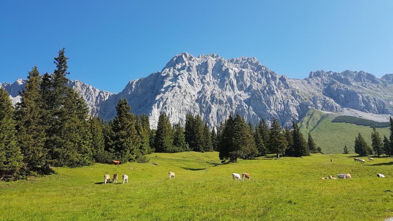 Ferienhaus Villa Alpenpanorama Ohlstadt Exterior foto